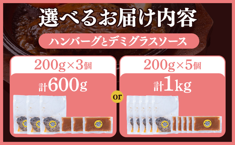 デミグラスソース ハンバーグ 選べる内容量 200g×3 計600g 200g×5 計1kg キッチンふじ 冷凍 《60日以内に出荷予定(土日祝除く)》 熊本県御船町_イメージ2