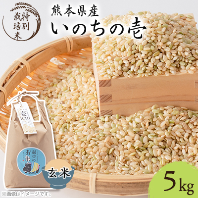 熊本県南阿蘇村産 令和7年産 特別栽培米 いのちの壱(玄米) 5kg×1袋【虹色のかば】【1577908】