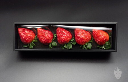 【先行予約】【数量限定】とちあいかDX ギフトBOX（5粒）【いちご イチゴ 苺】 ※2023年11月上旬頃より順次発送予定