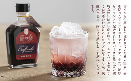 桑の実クラフトコーラ「結の桑」240g×1 本 希釈用 株式会社モアビートプロモーション《30日以内に出荷予定(土日祝除く)》ベース マルベリー スパイス配合 シロップ アントシアニン 鉄分 カリウム