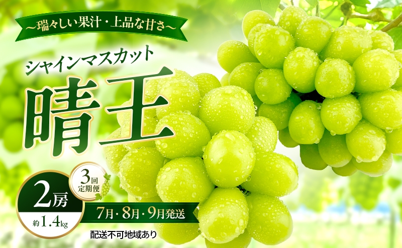 
                  ぶどう 2026年 先行予約 定期便 シャインマスカット 晴王 2房 約1.4kg 7月・8月・9月 3回発送 岡山県産 種無し 皮ごと食べる みずみずしい 甘い 瀬戸内 晴れの国 おかやま 果物大国 満天フルーツ
                
