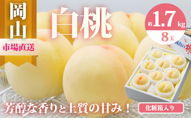 
            [№5615-0472]桃 2025年 先行予約 岡山 白桃 8玉（合計1.7kg以上）化粧箱入り もも モモ 岡山県産 国産 フルーツ 果物 ギフト
          