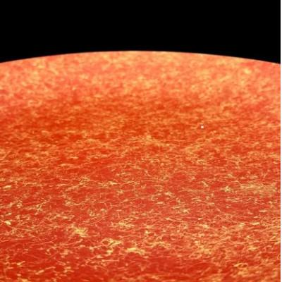 ふるさと納税 高野町 フラットプレート(D)　乱糸(マット仕上げ)本朱 |  | 01