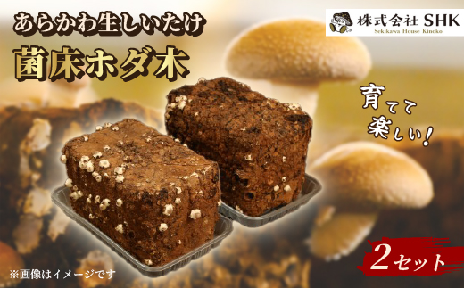 育てて楽しい!あらかわ生しいたけ菌床ホダ木 2セット