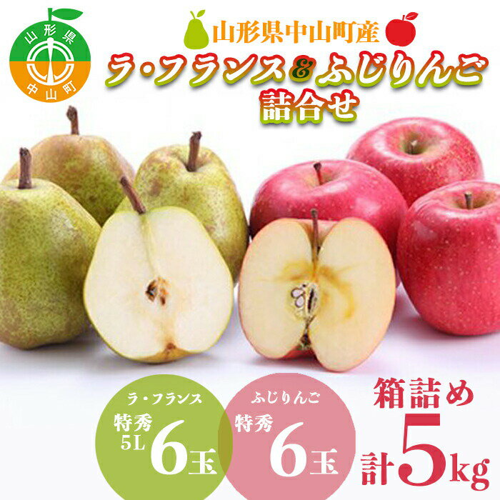 【ふるさと納税】【2026年先行予約】大きいのが食べたい！！詰合せ《ラ・フランス＆ふじりんご》 ラフランス 洋ナシ 洋梨 リンゴ セット 期間限定 数量限定 F4A-0064