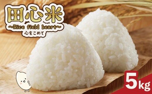大崎町産「なつほのか」田心米 5kg　～Rice field heart　心をこめて～