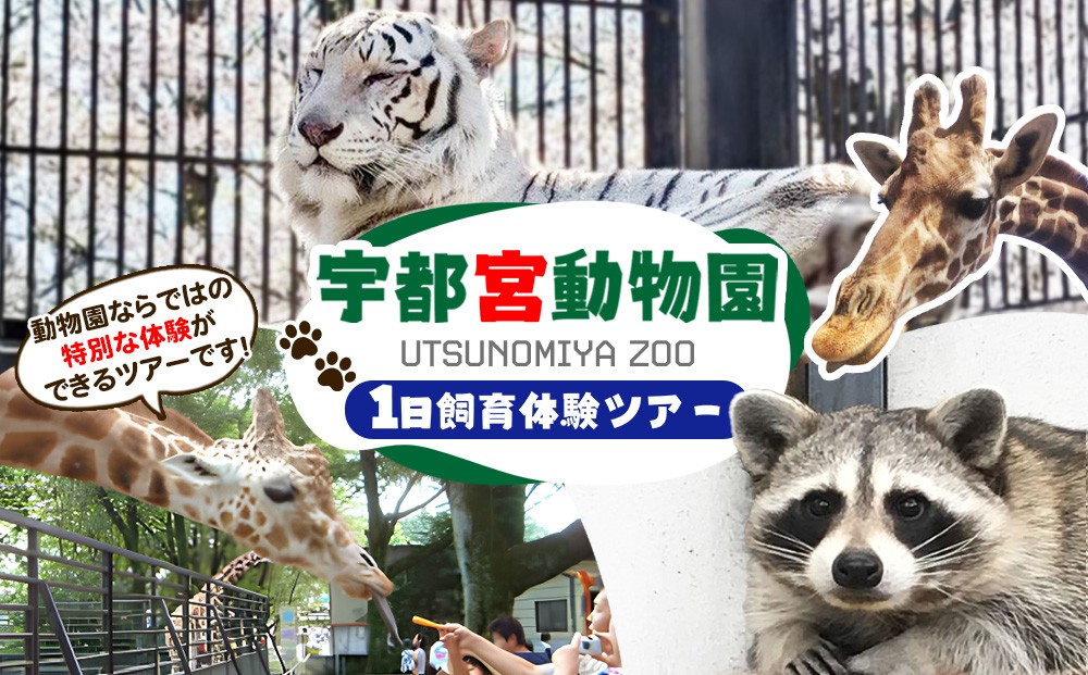 
                  1日飼育体験（獣医師体験含む）ツアー | 宇都宮動物園 動物園 どうぶつえん 獣医師体験 栃木県 宇都宮市
                