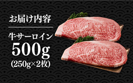 博多和牛サーロインステーキセット 500g（250g × 2枚）【株式会社Meat Plus】《豊前市》肉 ステーキ サーロイン[VBB011] ステーキ サーロインステーキ 博多和牛ステーキ 絶品ス
