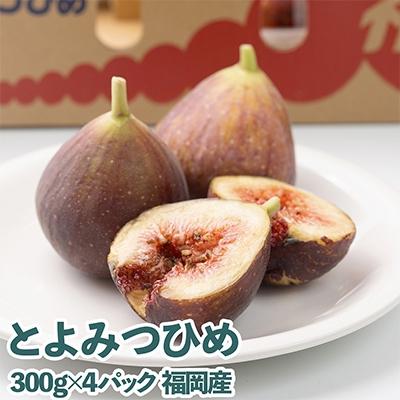 ふるさと納税 朝倉市 【先行受付】福岡限定!ブランドいちじく「とよみつひめ」約300g×4パック(朝倉市)