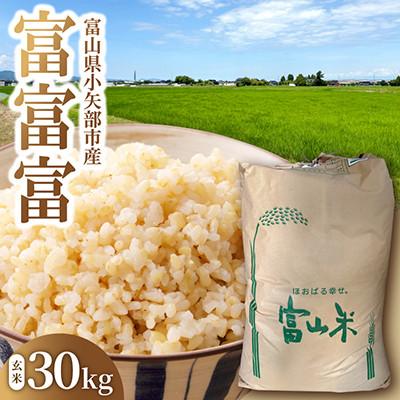 ふるさと納税 小矢部市 令和8年産 富山県産 「富富富」 玄米 30kg