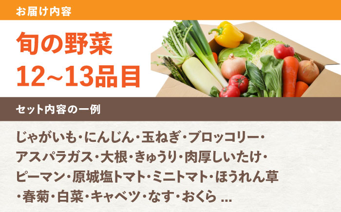 野菜のプロが選ぶ 旬の野菜セット 12～13品目 野菜定期便 / 野菜 やさい セット 新鮮 / 南島原市 / 愛2農園 [SGG005]