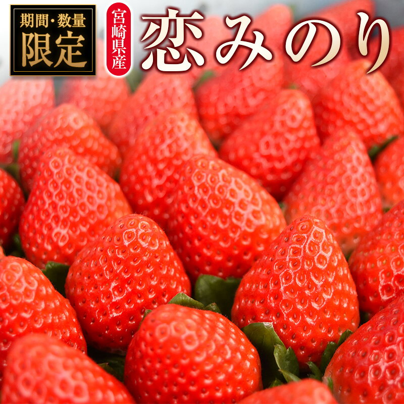【ふるさと納税】＜2027年発送＞いちご「恋みのり」 計8パック