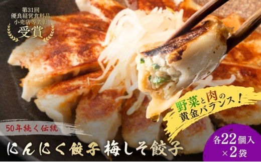 にんにく餃子(22個入り×2袋)と梅しそ餃子(22個入り×2袋)のセット 惣菜 冷凍餃子 中華 夕飯 夜ごはん おかず 食べ比べ おつまみ ビールのおつまみ