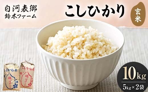 令和7年産米 白河表郷 コシヒカリ 玄米 10kg 米 コメ ごはん ご飯 食品 F24R-201