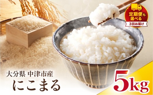 【寄附使途限定】【定期便3回】大分県中津市産 やまくに誉（ほまれ）やまくに誉 にこまる 5kg × 1袋 | お米 米 おこめ 白米 精米 うるち米 単一米 ご飯 産地直送 ブランド米 国産米 九州 定期 定期便 大分県 中津市