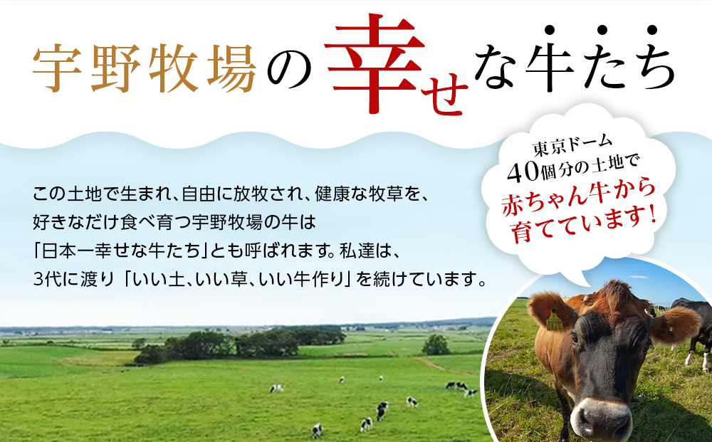 オーガニックプレーンヨーグルト（無糖）6個セット ヨーグルト 有機生乳 北海道牛乳 北海道ふるさと納税