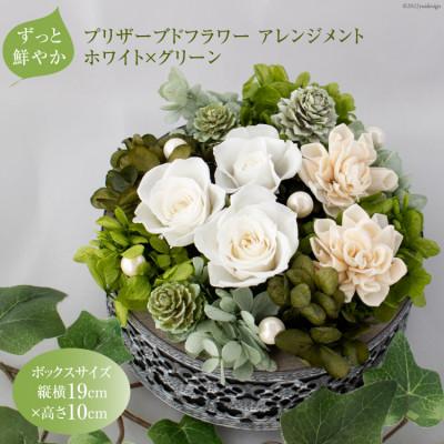 ふるさと納税 池田町 プリザーブドフラワー アレンジメント 【クリアケース入り】 ホワイト グリーン