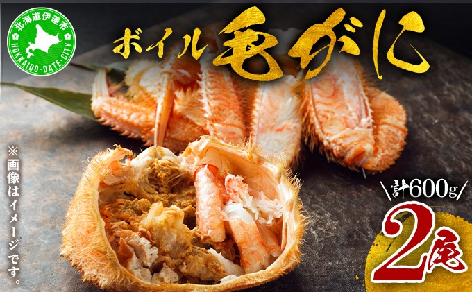 北海道 噴火湾産 冷凍 ボイル 毛がに 約300g×2尾