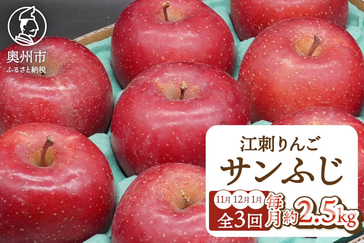 
            【定期便】奥州市りんご3か月定期便 江刺りんご「サンふじ」 約2.5kg(8-10玉) 11月～翌年1月お届け フルーツ 果物 林檎 常温配送 期間限定 数量限定 [AQ096]
          