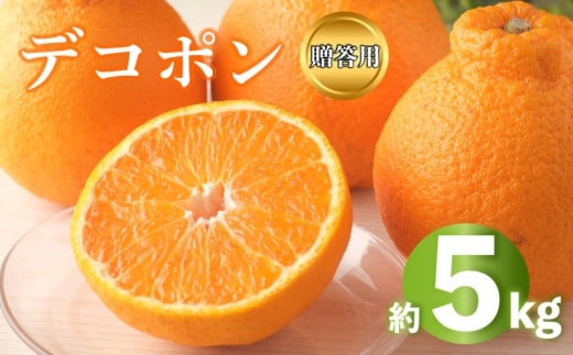 2026年 先行予約 デコポン 約5kg 不知火 しらぬい みかん 柑橘 蜜柑 オレンジ 果物 フルーツ 果実 旬 家庭用 1月下旬～3月中旬 配送 香川県 丸亀市