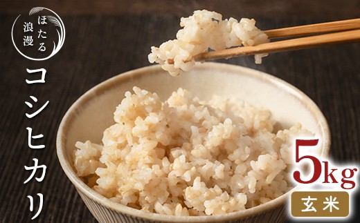 
                  ほたる浪漫のこだわり米 コシヒカリ 玄米 5kg 米 玄米 コメ ごはん ご飯 食品 F25R-151
                
