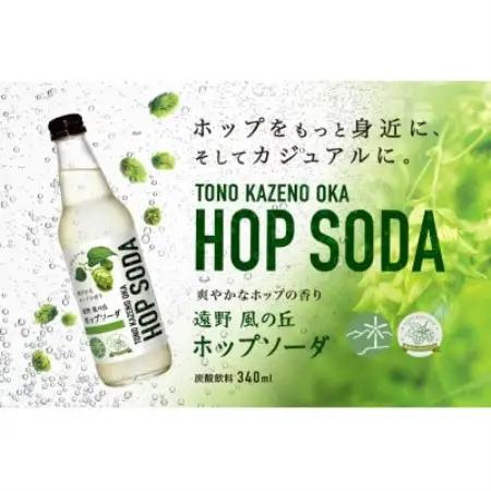 ノンアルコール 炭酸水 遠野風の丘 ホップソーダ 340ml 6本セット【1302776】