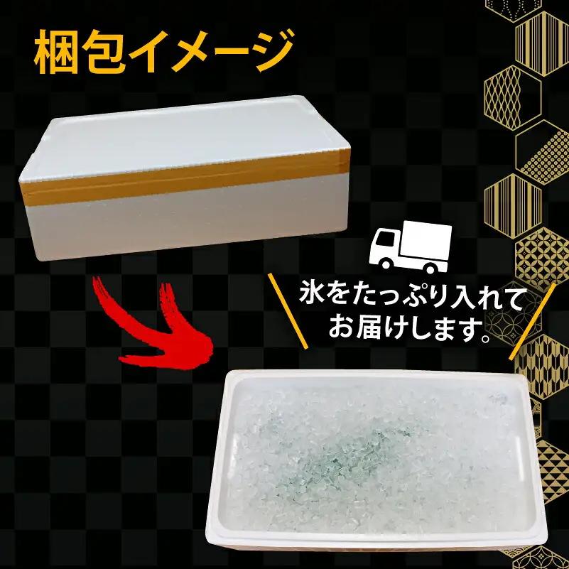 鮮魚 セット 神経締め 宇和海産 2種 こもこもShop 魚 （タイ カンパチ ブリヒラ シマアジ カワハギ イシダイ） D040-186007