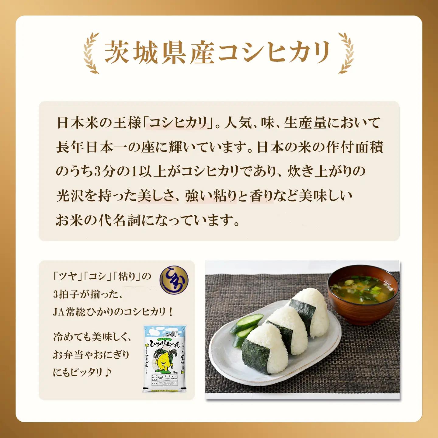 【ふるなび限定】米 精米 R7年産 コシヒカリ 10kg 9月 FN-Limited-PR