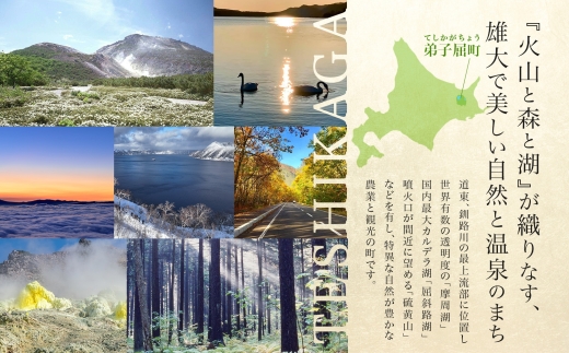 2573. 紅ズワイ蟹 キムチ 100g×2個 カニ かに 蟹 生食可 海鮮 鍋 ピリ辛 紅 ズワイガニ 紅ずわい蟹 ポーション コチュジャン 漬け おかず おつまみ 酒の肴 送料無料 北海道 弟子屈