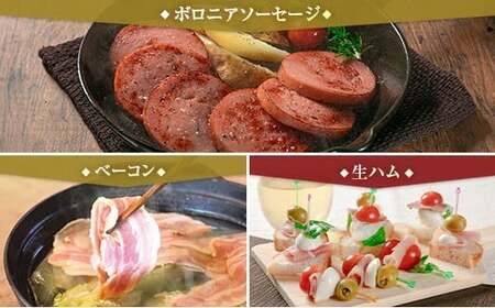 【PREMIUM PORK】 尾鈴豚 ハム ソーセージ 詰め合わせ 合計885g 6種 セット 宮崎県産