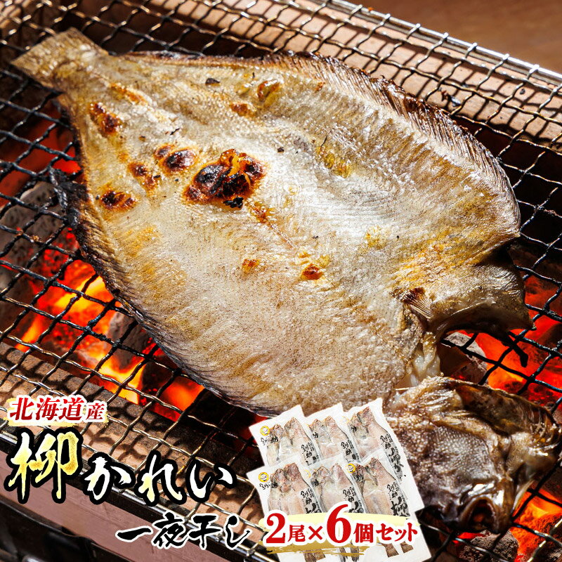 【ふるさと納税】柳かれい 一夜干し 2枚×6個セット ＜北海道産＞柳かれいを一夜干しに ｜ すぐ 届く 個包装 ひもの ワンストップ特例制度 オンライン 魚介類 魚 魚介 干物 切り身 冷凍 パック 北海道 釧路町 釧路超 特産品 br02