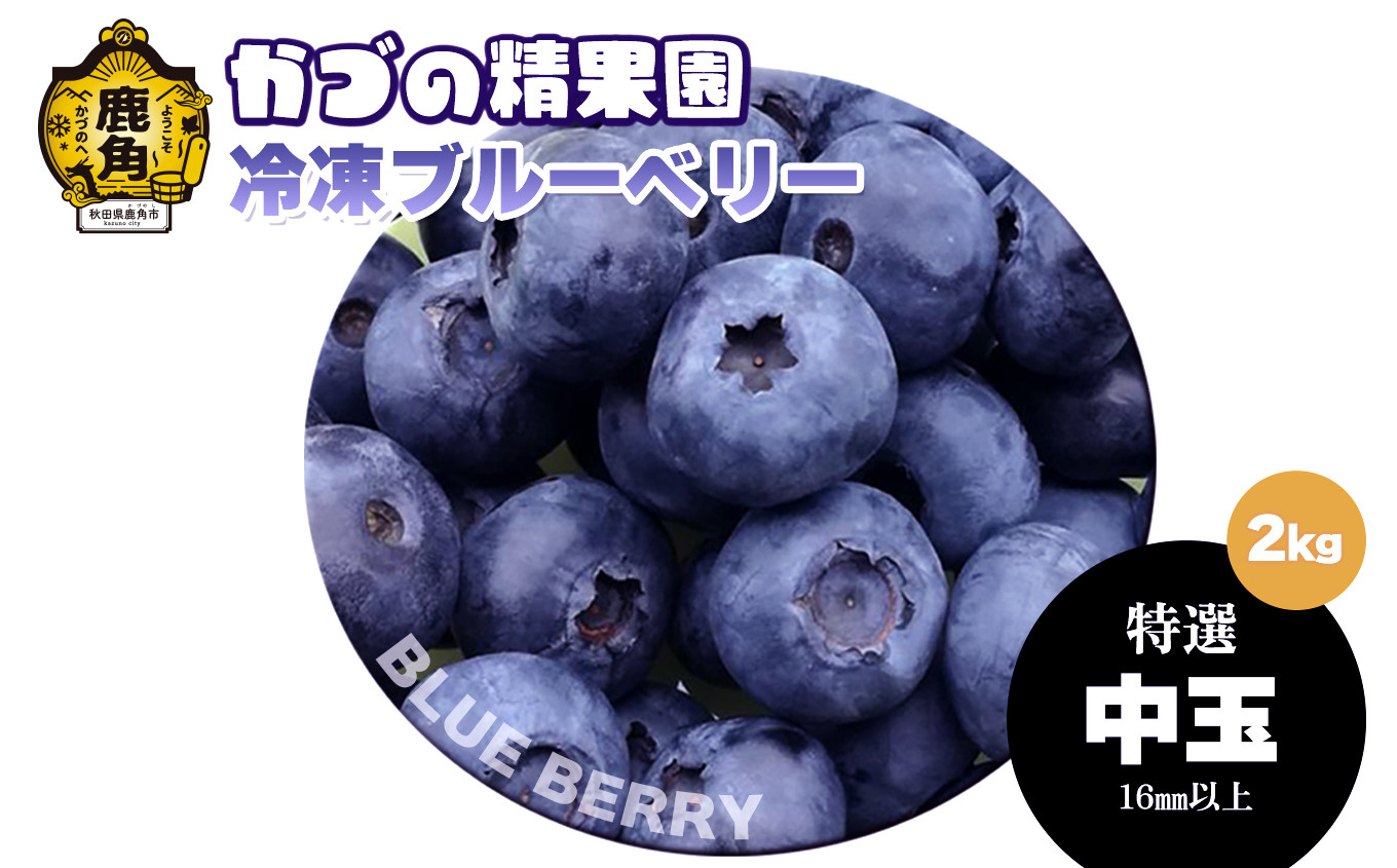 
《先行予約》ブルーベリー（冷凍）特選 中玉 2kg【かづの精果園】 ●2024年8月中旬発送開始 冷凍 栄養 効果 アントシアニン サプリ 藍苺 ベリー レシピ ジャム スムージー アサイー アイス ヨーグルト 自然 秋田県 秋田 あきた 鹿角市 鹿角 かづの
