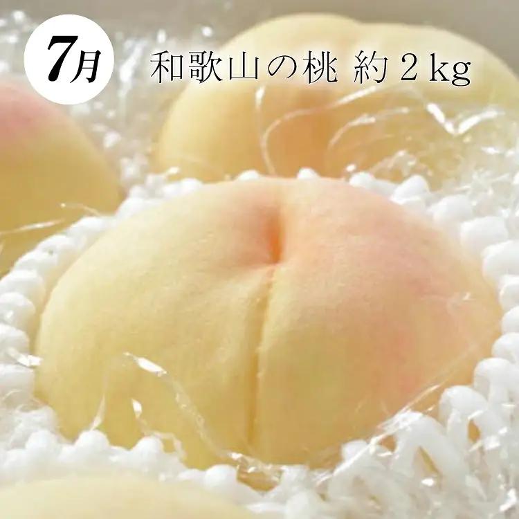 定期便全3回 【7月・8月・9月発送】 和歌山の夏のフルーツをお届け（桃・梨・たねなしピオーネ）【TM179】【TM92236-tkb114】