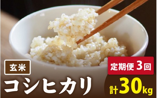 【先行予約】】【3ヶ月連続お届け】【 令和8年産 新米 】 有機JAS認証 オーガニックコシヒカリ 玄米 5kg×2袋×3ヶ月（計30kg）【2026年10月より発送開始】