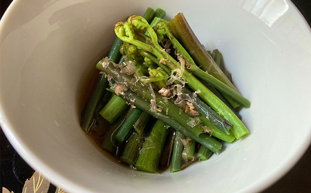 【5月中旬発送開始予定】 期間限定 天然山菜 わらび 約800g ／ ワラビ 蕨 山菜 さんさい 採れたて 春の味覚 旬 旬野菜 春野菜 春の野菜 春の山菜 季節物 季節野菜 産地直送 季節限定 数量