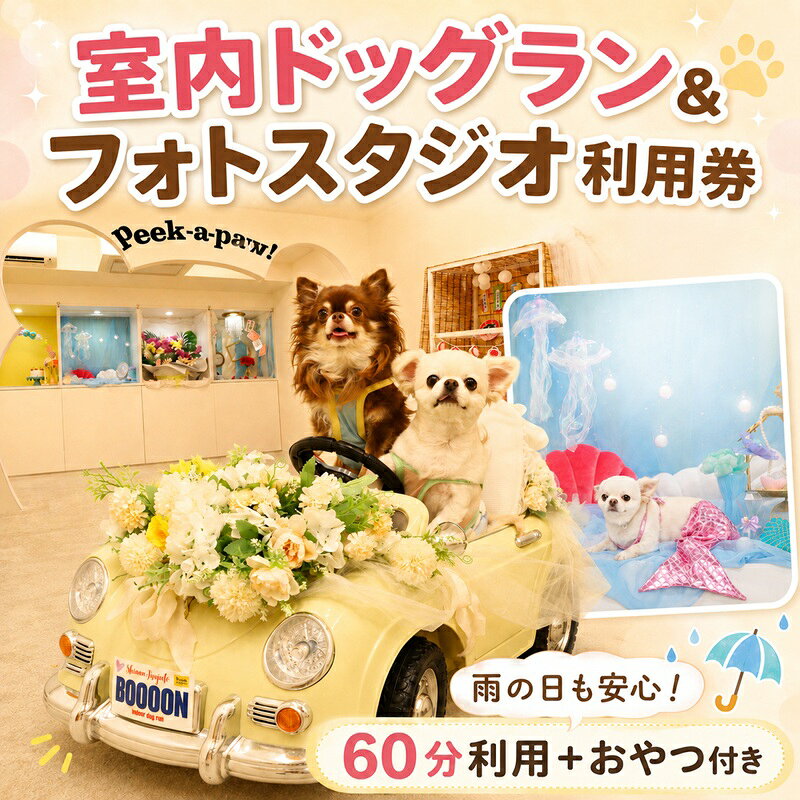 【ふるさと納税】 小型犬 専用ドックラン フォトスタジオ 利用券 おやつ付き 室内 屋内 ドックラン 限定プラン カーペット仕様 わんちゃん 遊び場 写真スタジオ チケット お誕生日 記念日 撮影 小型犬 犬 いぬ Dog イヌ わんこ 雑貨 10000 BOOOON湘南辻堂店 神奈川 湘南 藤沢