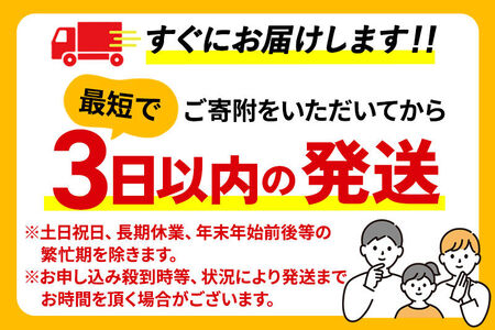《定期便2ヶ月》かりっと大豆イソフラボン黒豆茶 600ml×24本【2ケース】