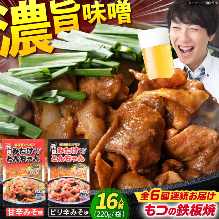 【ふるさと納税】【6回定期便】岐阜県産豚もつの鉄板焼き「元祖みたけとんちゃん」2種セット（16人前） / モツ もつ 白もつ ホルモン / 岐阜県 御嵩町 / 藤よし [AVAA016]
