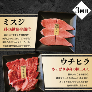 【3回定期便】A5黒毛和牛 希少部位 6種盛り(計3kg) 黒毛和牛
