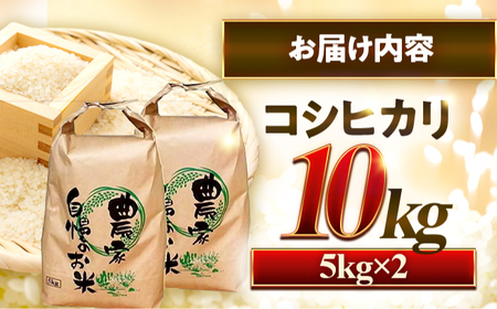 【先行予約/9月15日より順次配送】【令和8年産】コシヒカリ 10kg（5kg×2袋）/ 新米 白米 福井県 小浜市 / 市左ヱ門米屋 [BFEN001] 白米