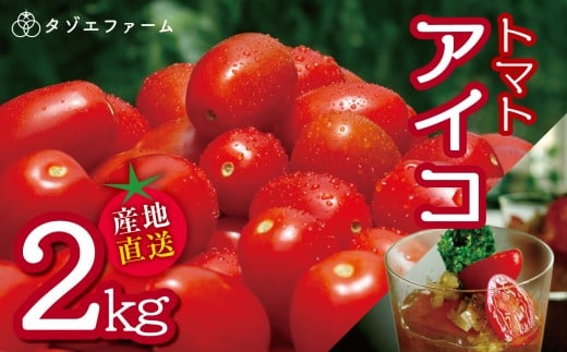 【タゾエファーム】 トマト アイコ 2kg | 野菜 やさい とまと ミニトマト 産地直送 熊本県 玉名市