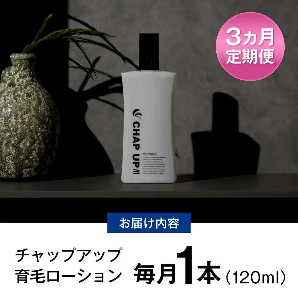 【3回定期便】薬用育毛剤 チャップアップ CHAP UP 120ml×1本 髪 育毛 脱毛予防 発毛促進 男性用[AIDV003]