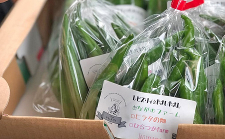 野菜 セット レピスリィ★ベジBOX 季節のお野菜 1～6種類 詰め合わせ ※配送不可：北海道、沖縄、離島