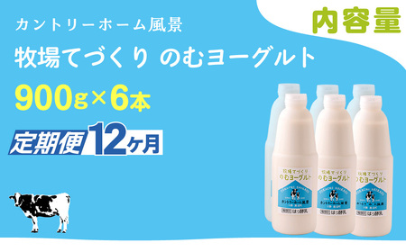 【定期12ヶ月】のむヨーグルト 900g ×6 SKB042