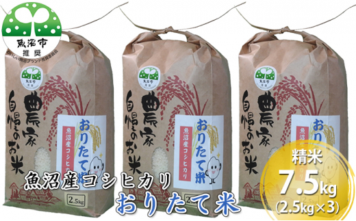 
[№5762-0645][令和5年産]魚沼産コシヒカリ おりたて米 （精米）7.5kg（2.5kg×3）
