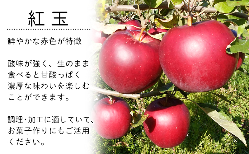 10月限定 りんご 『紅玉』生果実 盛岡りんご 家庭用 約5kg(20~25個) 箱 盛岡市 下久保農園産