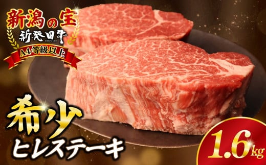 ヒレ肉 ヒレ ステーキ 1.6kg フィレ 牛肉 和牛 新発田牛 赤身 焼肉 ふるさと納税 和牛 BBQ キャンプ 特選 贅沢 厳選和牛 ブランド牛 ギフト 贈答 新潟 新潟県 新潟産 新発田 新発田市 新発田産 アルビレックス アルビレックス新潟 近江牛 神戸牛 松阪牛 米沢牛 三大和牛 に負けない えのもとミート