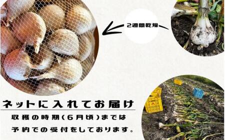 令和８年度産 秘境の地からお届けする あゆみファームのご家庭用ジャンボにんにく 3kg【7月下旬から順次発送】/ にんにく ニンニク ジャンボにんにく 予約受付 ガーリック 和歌山【aym015A】