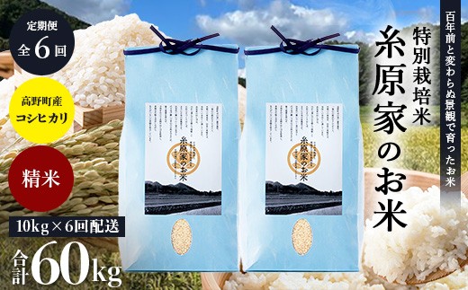 
                  新米 予約受付 R8年産【定期便 全6回】特別栽培米「糸原家のお米」高野町産 コシヒカリ 10キロ(5キロ×2袋) | 10kg×6回 合計60kg 6ヶ月 6ヵ月 6か月 精米 白米 お米 令和8年産
                