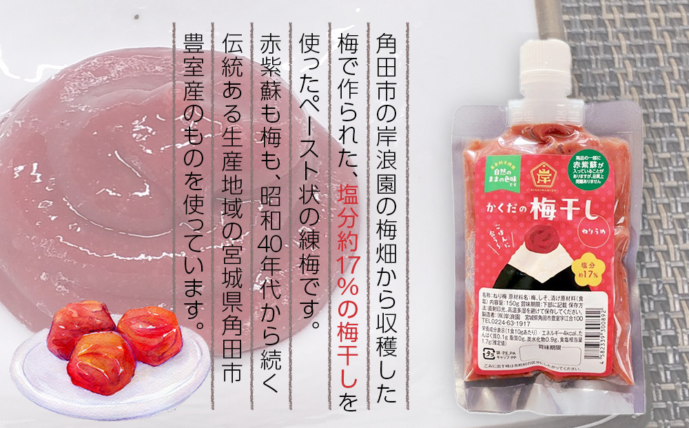 角田市 岸浪園 梅干し ペースト 練梅 6パック 限定200個